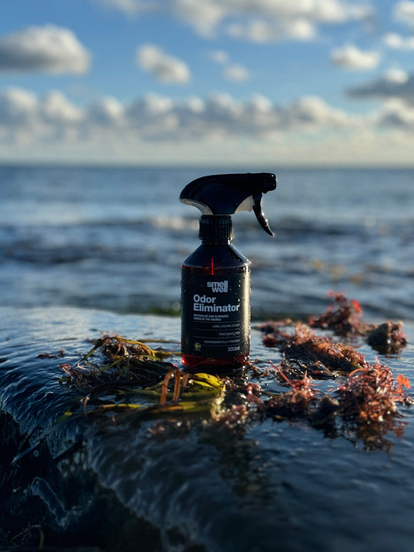 SMELLWELL Odor Eliminator ELIMINA ODORI SPRAY 300ml PER CALZATURE E ATTREZZATURA