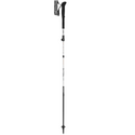LEKI SKYTERA FX CARBON SL