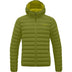 CROCODILE GREEN