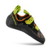 CARBON/LIME PUNCH
