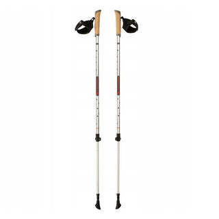 FERRINO STEP IN BASTONCINI DA NORDIC WALKING COLORE GRIGIO