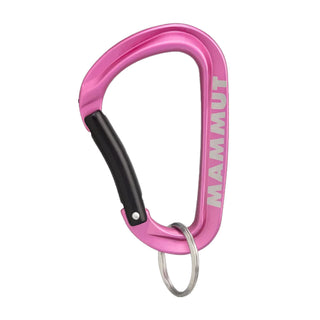 Compra rosa-pink MAMMUT Mini Carabiner Workhorse Keylock S - DISPONIBILE IN VARI COLORI