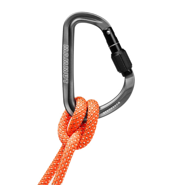 MAMMUT WORKHORSE HMS Screwgate Carabinier