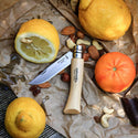 OPINEL COLTELLINO IN ACCIAIO INOX CON MANICO IN LEGNO MISURA N°7