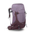 Purple Dusk