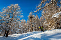 GRIVEL MONTEROSA SNOWSHOES CIASPOLA DA NEVE RIGIDA - DISPONIBILE IN 2 COLORI E 2 MISURE