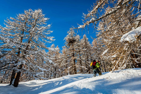 GRIVEL MONTEROSA SNOWSHOES CIASPOLA DA NEVE RIGIDA - DISPONIBILE IN 2 COLORI E 2 MISURE