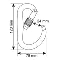 CAMP ATOM LOCK MOSCHETTONE HMS CON CHIUSURA A GHIERA