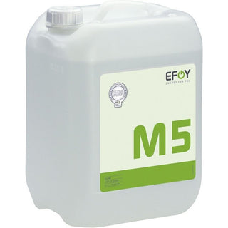 EFOY TANICA DA 5 LITRI DI METANOLO M5