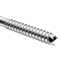 PETZ LASER SPEED CHIODO DA GHIACCIO DI PROGRESSIONE CON MANOVELLA 10 CM